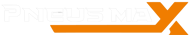 Logo Pneus Max